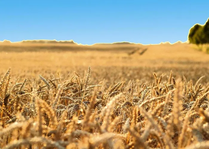 Doppelhaushaelfte In Am Oberuckersee