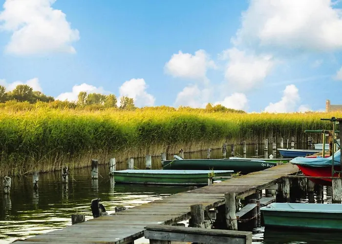 Doppelhaushaelfte In Am Oberuckersee